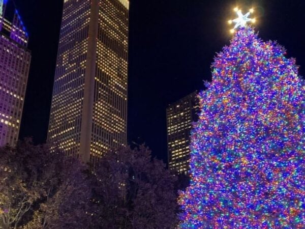 chicago christmas tree all lit up