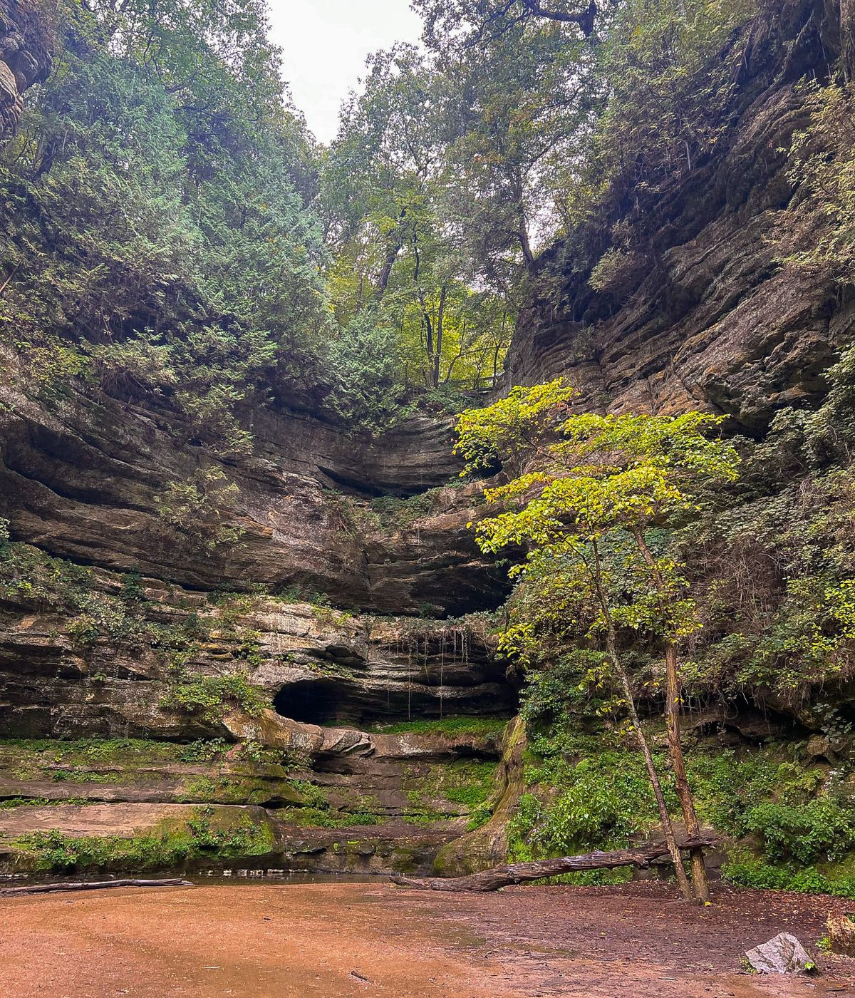 Starved Rock State Park in Oglesby, IL: Ultimate Park Guide - Little ...