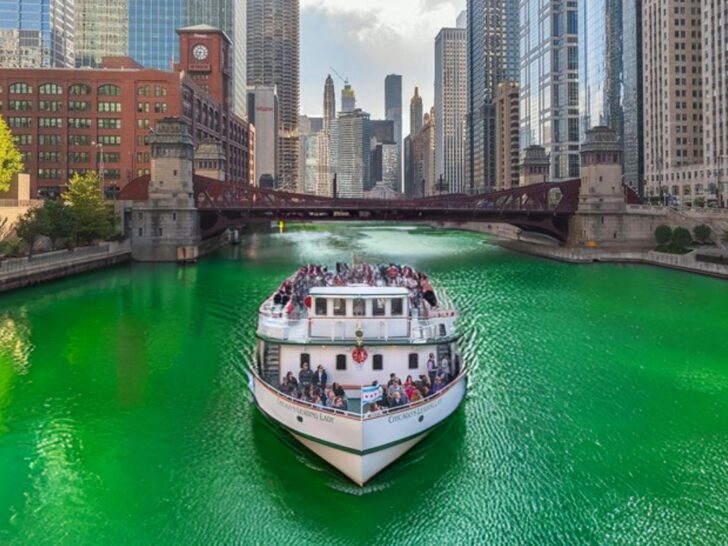 st patricks day chicago clover cruise
