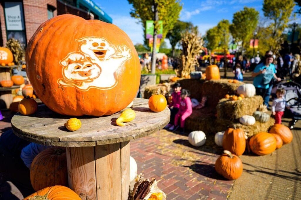 halloween pumpkins at the lincoln park Zoo in Chicago