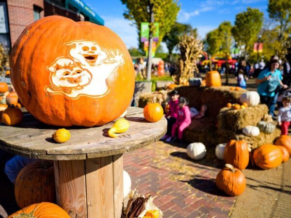 halloween pumpkins at the lincoln park Zoo in Chicago