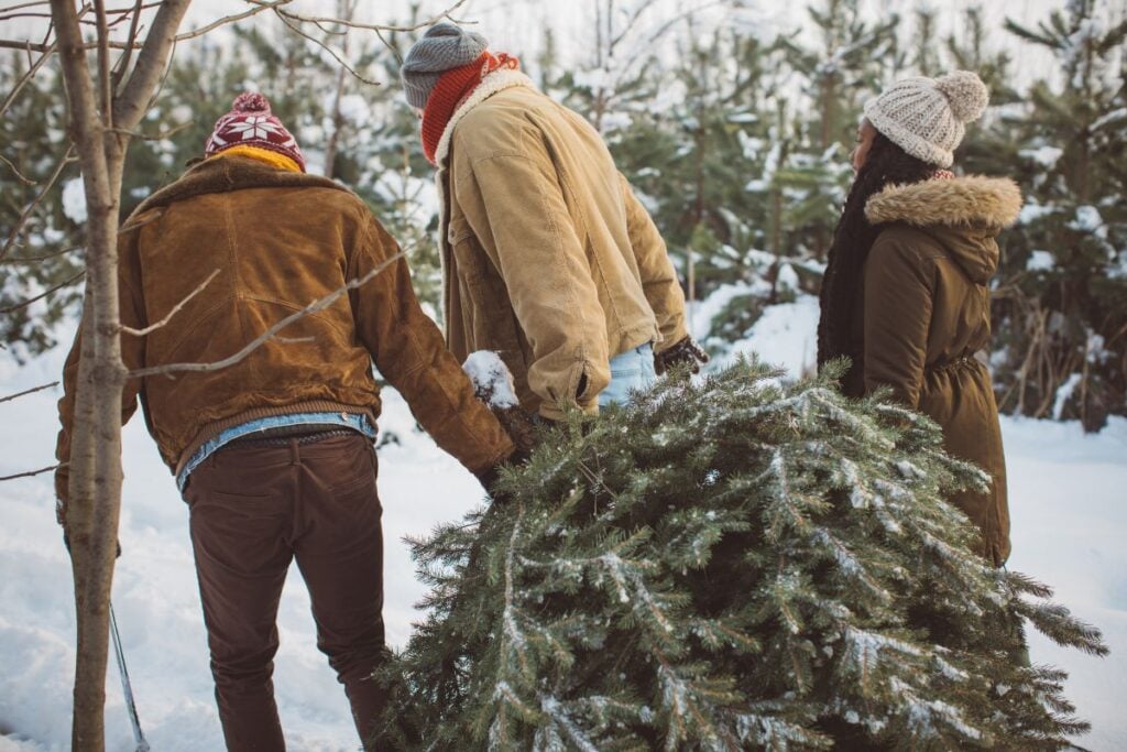 Family cutting down a Christmas tree at a Chicago area Christmas tree farm