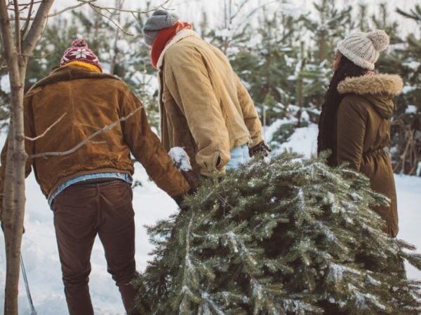 Family cutting down a Christmas tree at a Chicago area Christmas tree farm