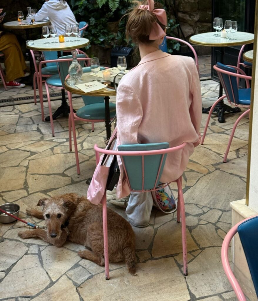 woman with dog and a chicago bar