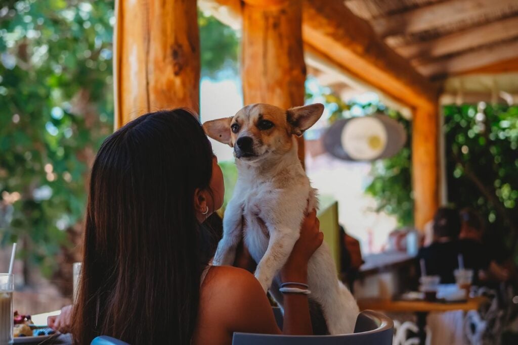 woman holding dog at a bar in chicago