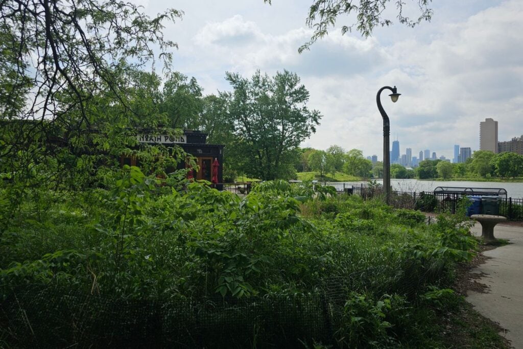 North Pond restaurant and nature area in Lincoln Park with the Chicago skyline in the distance
