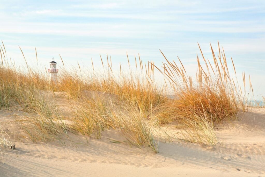 littlechicagoguide.jpg Dune grass on the beach at New Buffalo, Michigan with a lighthouse in the distance