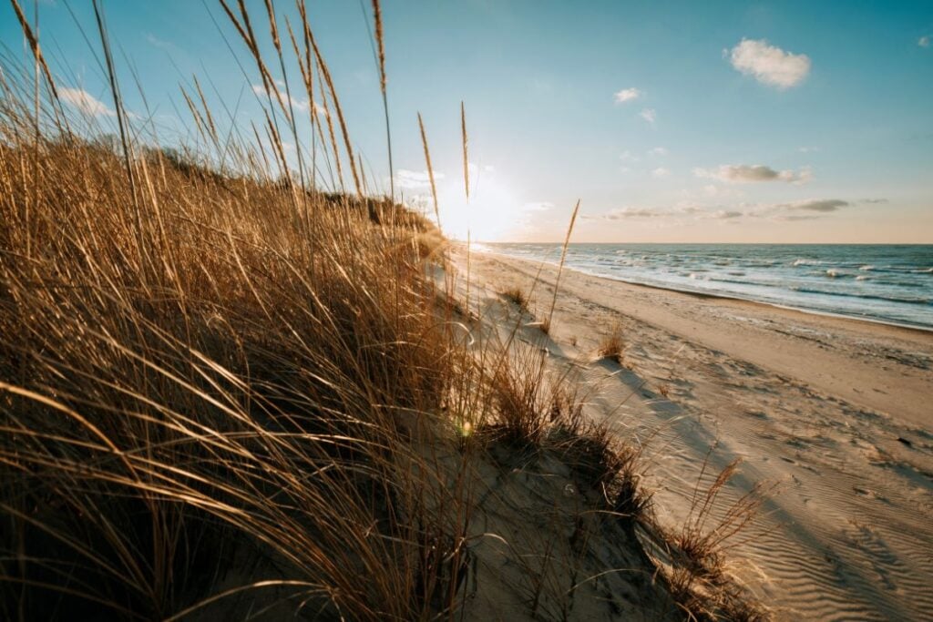 Dune grass and an empty Lake Michigan beach at sunset, Indiana Dunes National Park